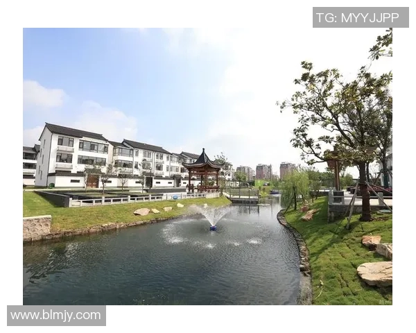 萨内蒂：从绿茵场上的传奇到慈善事业的先锋之路