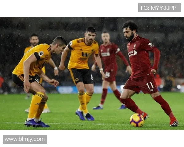 狼队与布伦特福德精彩对决直播全程回顾及赛后分析